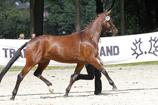 Tahiti © Lune Jancke